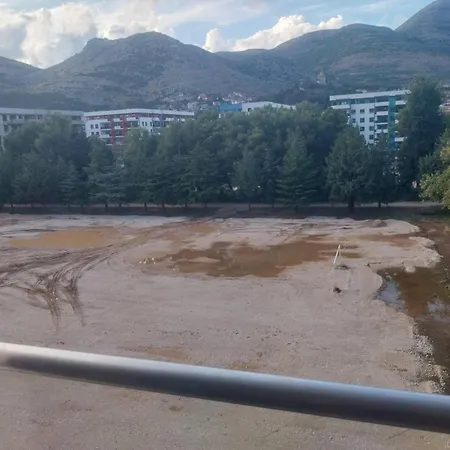 Milica Τρέμπινιε